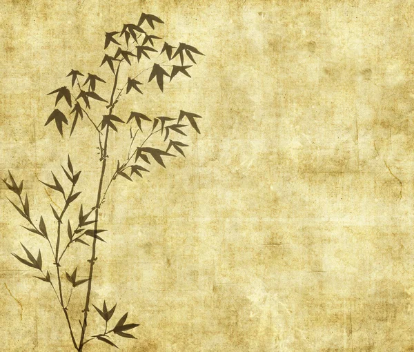 Дизайн бамбуковых деревьев Китая с текстурой бумаги ручной работы — стоковое фото