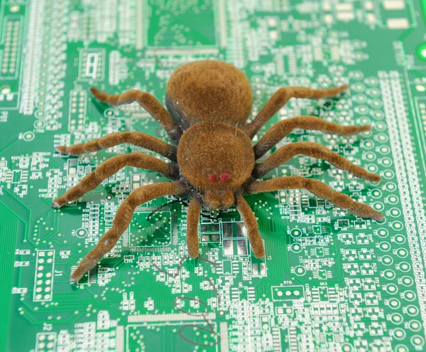 Spider en el tablero electrónico — Foto de Stock