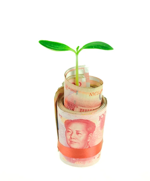 Китайские деньги с зеленым растением — стоковое фото