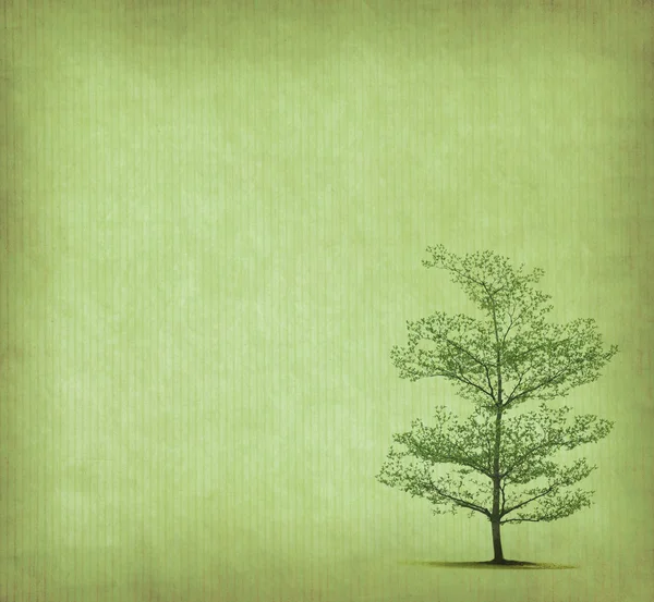 stock image Tree with old grunge antique paper texture