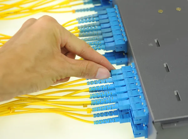 stock image Shot of network cables and servers in a technology data center