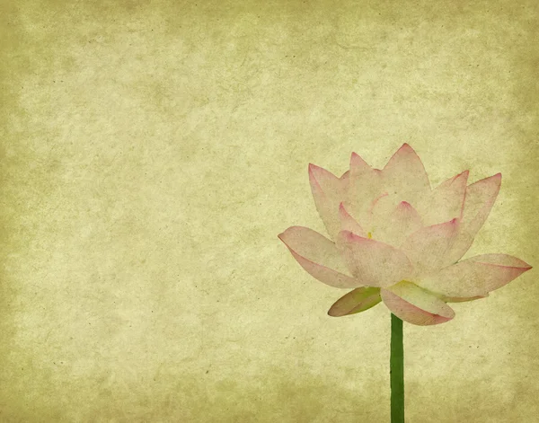 Lotus s sada abstraktní malované pozadí — Stock fotografie