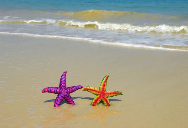 stock image Two colorful seastars sitting on beach