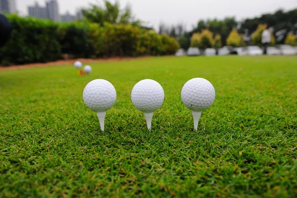 Fém golf vezető — Stock Fotó