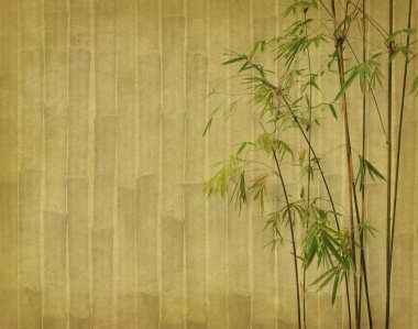 Eski grunge antika kağıt dokusu üzerinde bambu