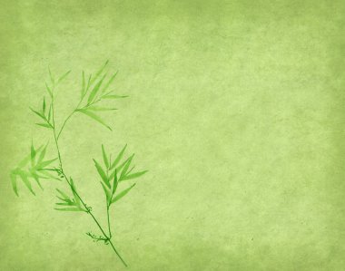 Bamboo on old grunge antique paper texture clipart