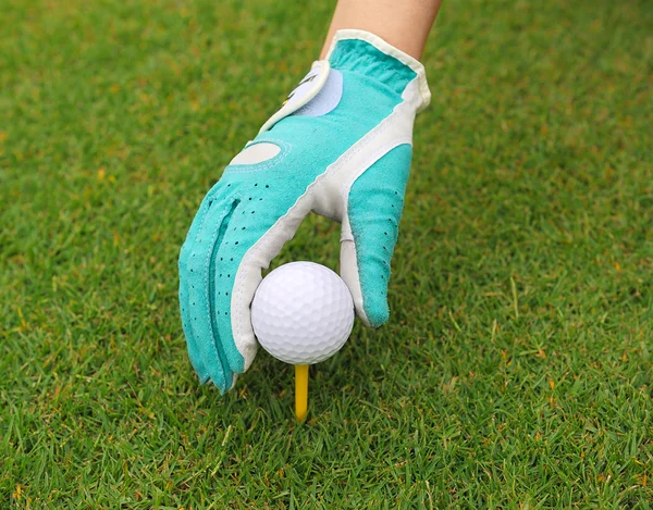 Gehandschoende hand een golfbal zetten een tee — Stockfoto