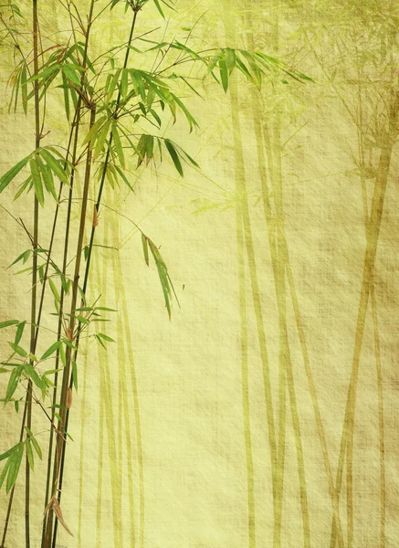 Eski grunge antika kağıt dokusu üzerinde bambu — Stok fotoğraf