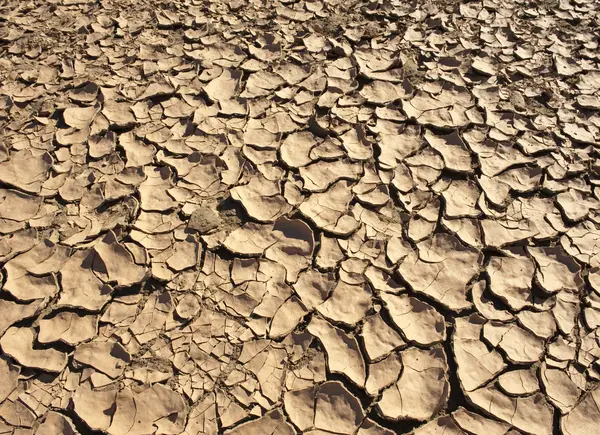 Drought ground — Stock Photo, Image