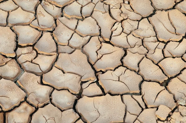 Terreno siccità — Foto Stock