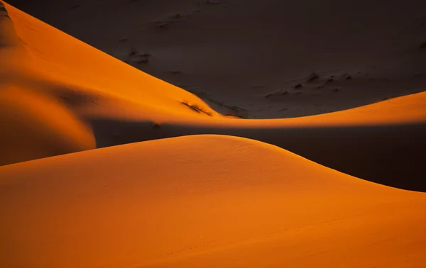 Stock image Desert