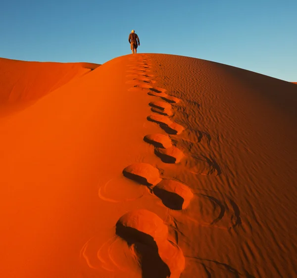 在沙漠徒步旅行 — 图库照片