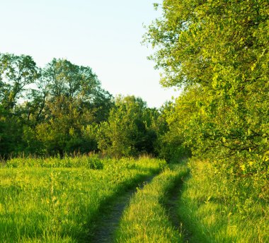 yol alanında