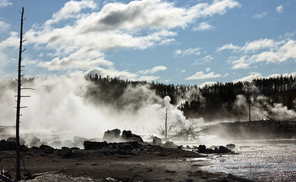 Yellowstone — Stock Photo, Image
