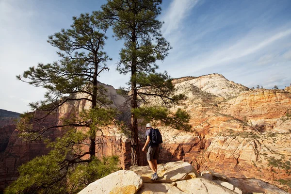 Hike in Zion — Stock Photo, Image