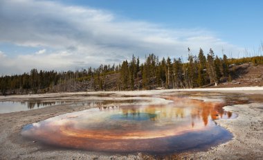 Yellowstone