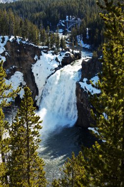 Yellowstone şelale