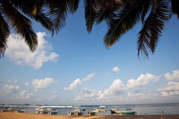 Sri lanka kumsalda — Stok fotoğraf