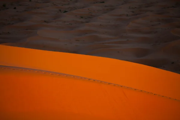 Dune — Photo