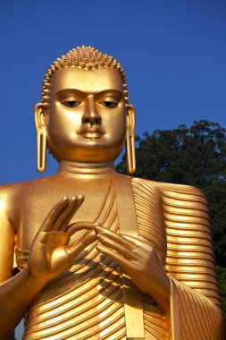 Buddhas statue on Sri Lanka clipart