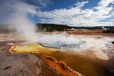 Yellowstone