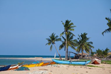 Sri Lanka 'da tekne