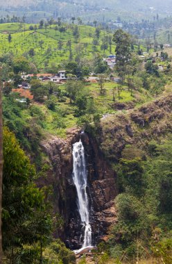 şelale üzerinde sri lanka