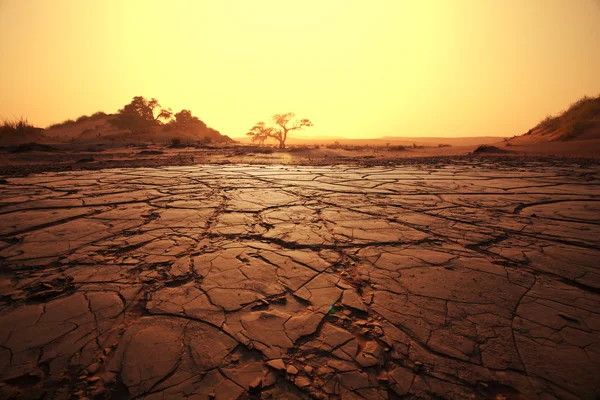 Tierras de sequía — Foto de Stock