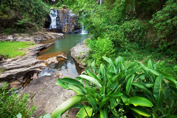Vodopád na Srí Lance — Stock fotografie