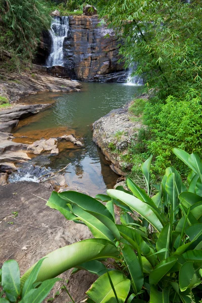 Wasserfall auf sri lanka — Stockfoto