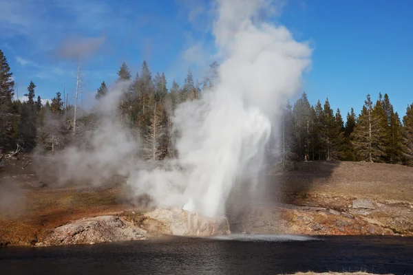 stock image Yellowstone