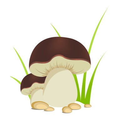 Mushrooms clipart