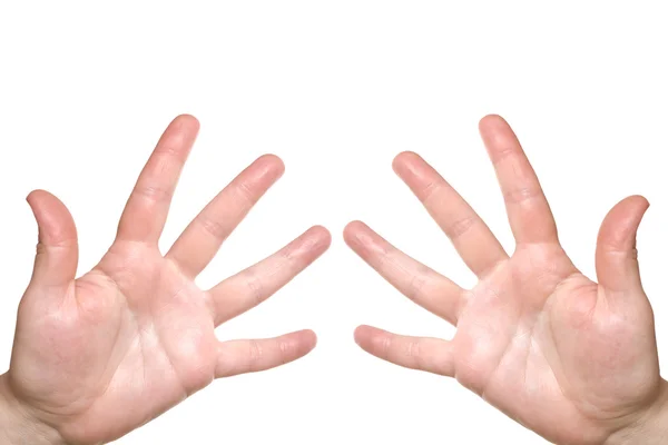 Dua telapak tangan — Stok Foto