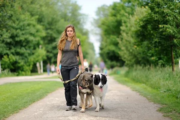 Счастливая девочка, гуляющая с собаками — стоковое фото