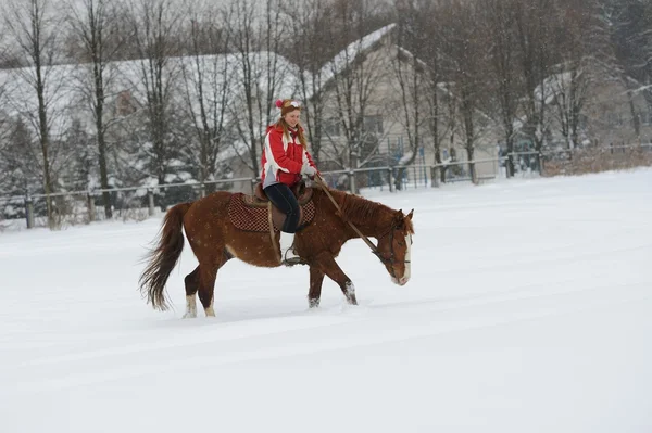 Uśmiechnięta dziewczyna jeźdźca na koniu — Zdjęcie stockowe