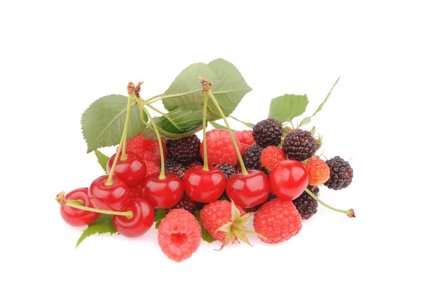 Zoete verse frambozen vruchten met cherry — Stockfoto