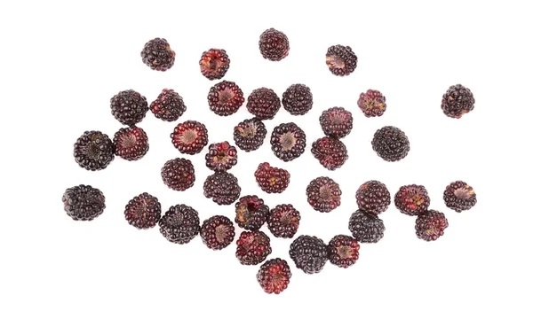Sweet fresh raspberry fruit — Stock Photo, Image