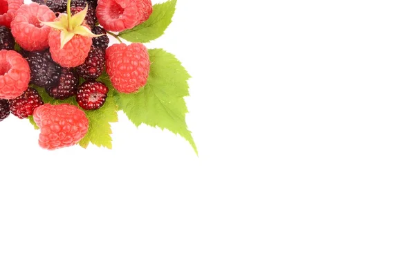 Dulce fruta fresca de frambuesa con hoja verde —  Fotos de Stock