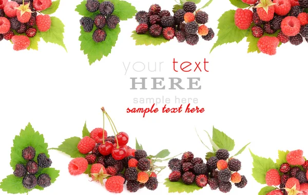 Sweet fresh raspberry fruit with green leaf — Stock Photo, Image