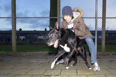 vahşi köpek sahibini sıçramak