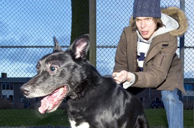 vahşi köpek sahibini sıçramak