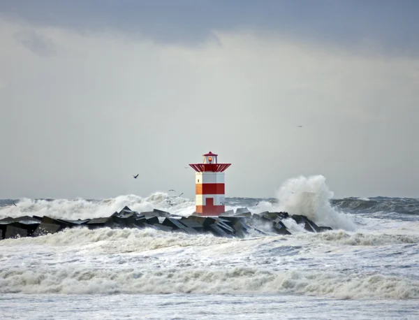 Stock image Storm