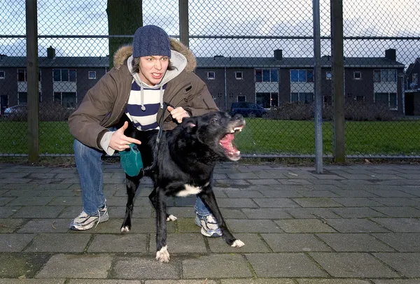 Bösartiger Besitzer und Hund — Stockfoto