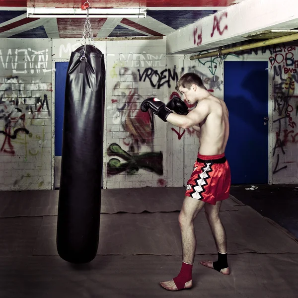 Punching boxer — Stock Photo, Image