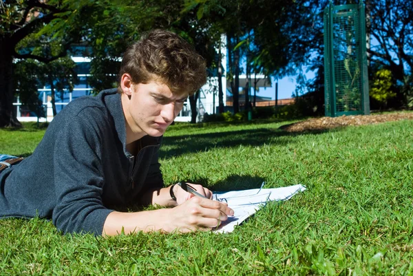 Homework in the park — Stock Photo, Image