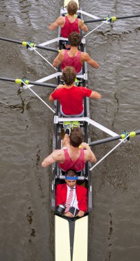 Coxed four clipart