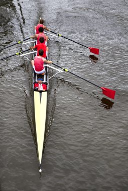 Coxed four from above clipart
