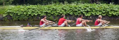 Coxed four on a canal clipart