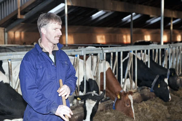Agricultor leiteiro — Fotografia de Stock