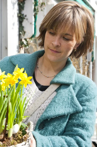 Comprar Daffodils — Fotografia de Stock